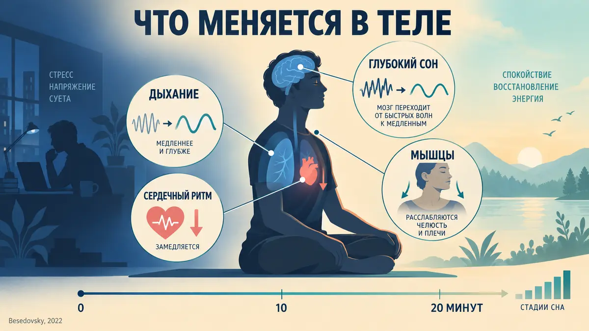 Ресурсный транс: схема изменений в теле — дыхание, мышечный тонус, вегетативный баланс, структура сна