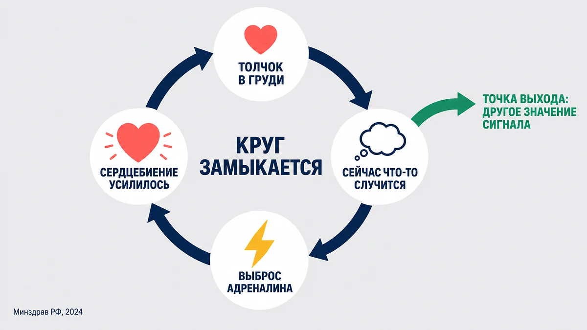 Порочный круг панической атаки: ощущение, катастрофическая мысль, выброс адреналина, усиление симптома